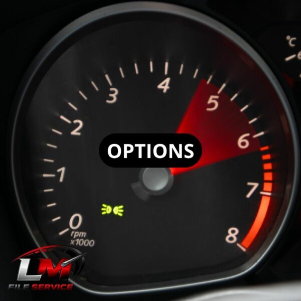 Options LM File Service