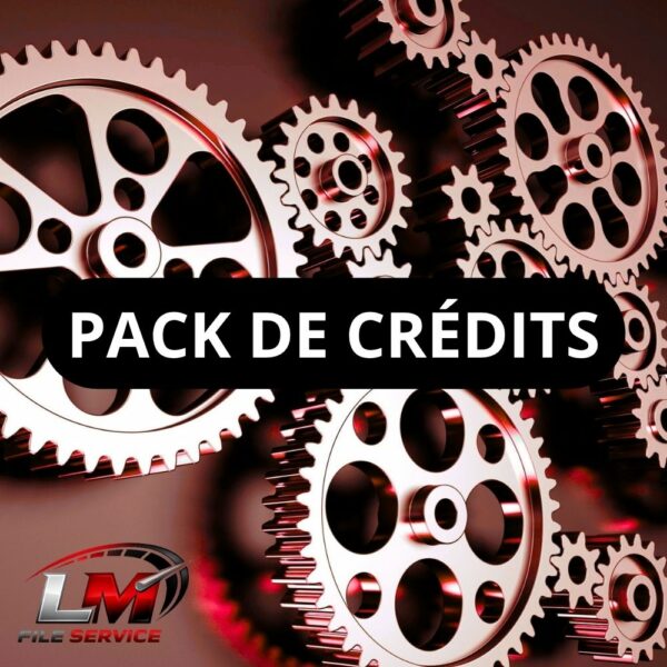 Pack de crédits LM File Service