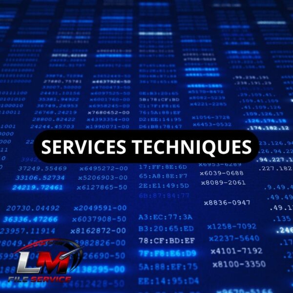 Services Techniques LM File Service