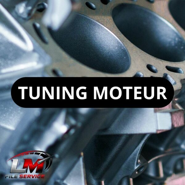 Tuning Moteur LM File Service